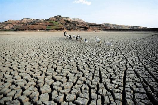 “太阳成集团tyc7111cc”联合国安理会强烈谴责阿富汗清真寺恐袭事件(图1) 太阳成集团tyc7111cc