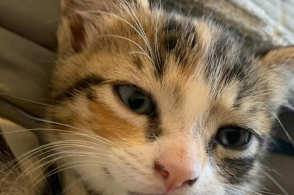 第3326章 制符比试(月票加更)【太阳成集团tyc7111cc】(图2) 太阳成集团tyc7111cc