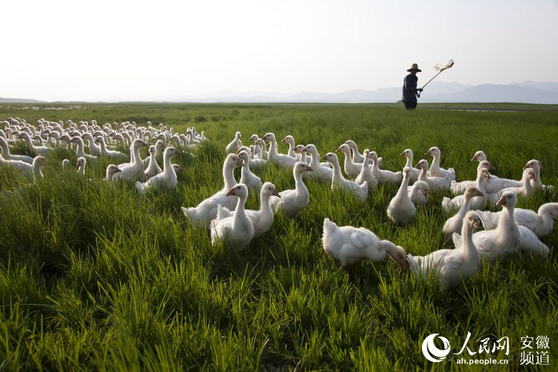 美媒:美政府拟近期宣布撤离4000名驻阿富汗美军|太阳成集团tyc7111cc(图1) 太阳成集团tyc7111cc