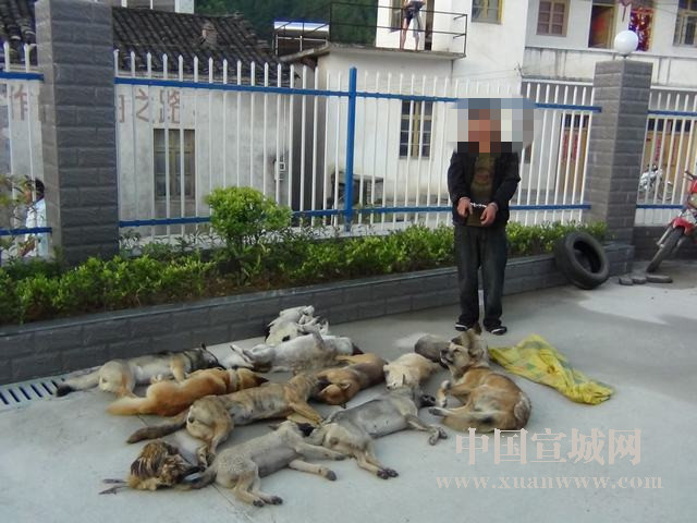 “太阳成集团tyc7111cc”
美军青天白日抢劫石油 叙利亚不敢阻拦 俄罗斯发出最后通牒(图6) 太阳成集团tyc7111cc