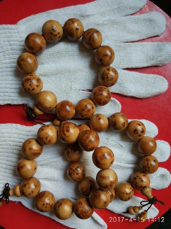 太阳成集团tyc7111cc