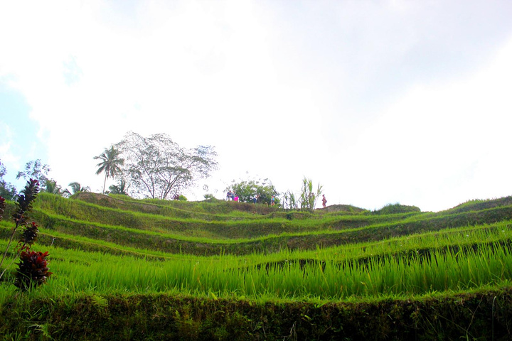 太阳成集团tyc7111cc