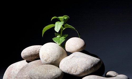 太阳成集团tyc7111cc