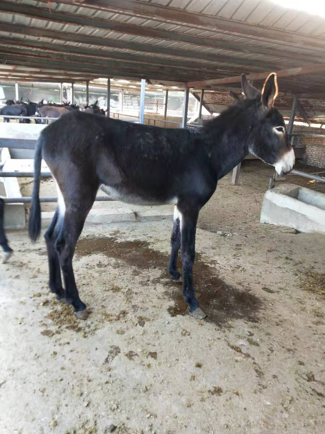 太阳成集团tyc7111cc