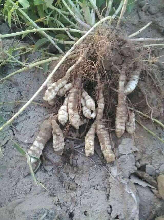 太阳成集团tyc7111cc