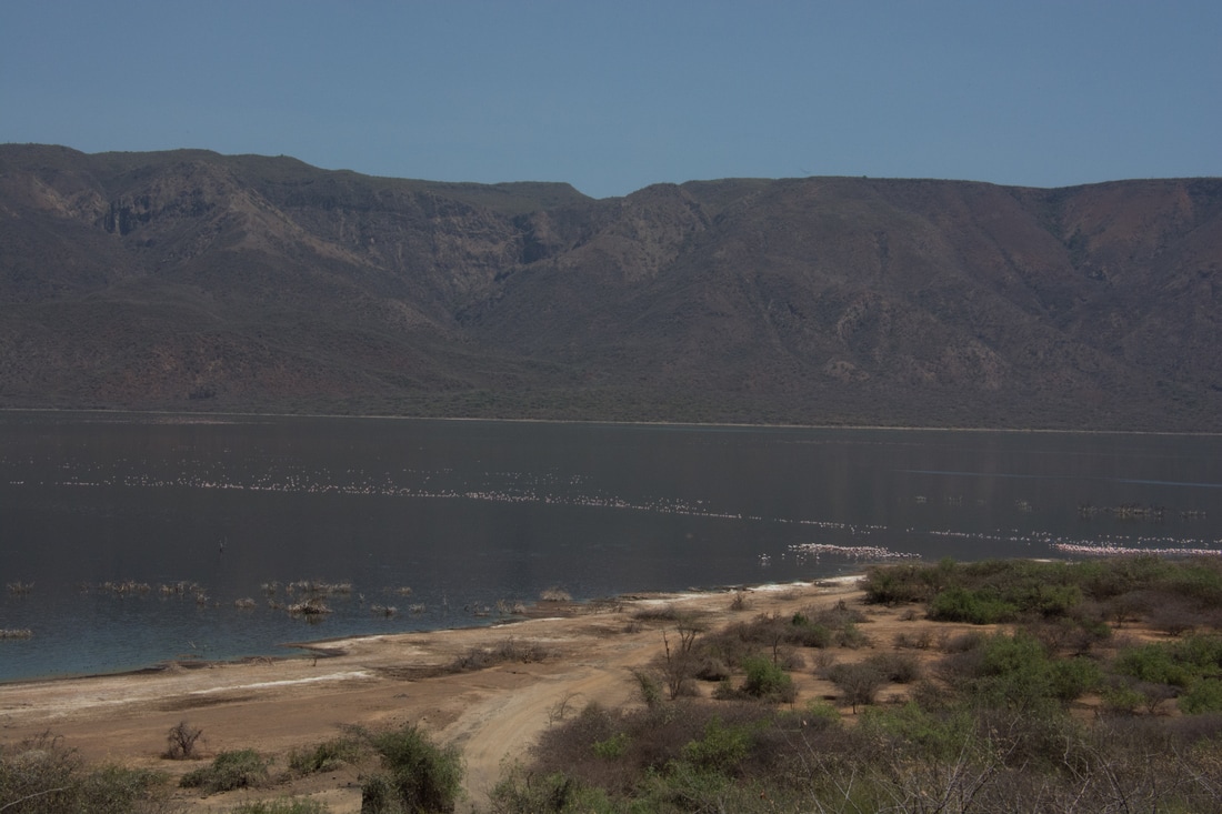 第305章 可灭未来一族!|太阳成集团tyc7111cc(图4) 太阳成集团tyc7111cc