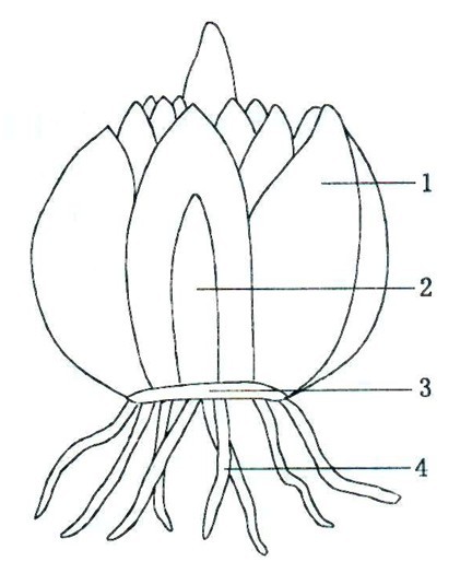 【太阳成集团tyc7111cc】珊瑚镇召开村委会换届选举日培训工作布置会(图1) 太阳成集团tyc7111cc