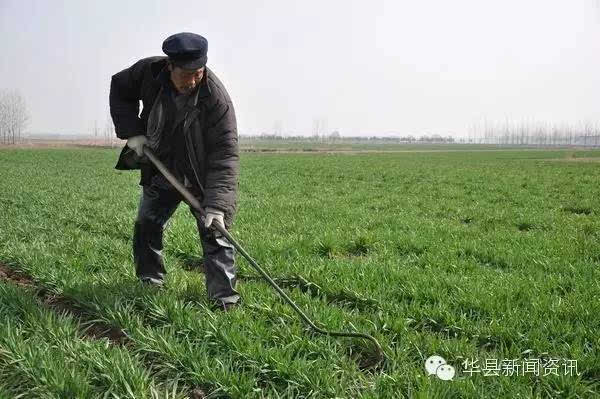 太阳成集团tyc7111cc-环球时报:对警权的任何削弱都是帮暴徒的忙(图2) 太阳成集团tyc7111cc