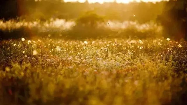 太阳成集团tyc7111cc