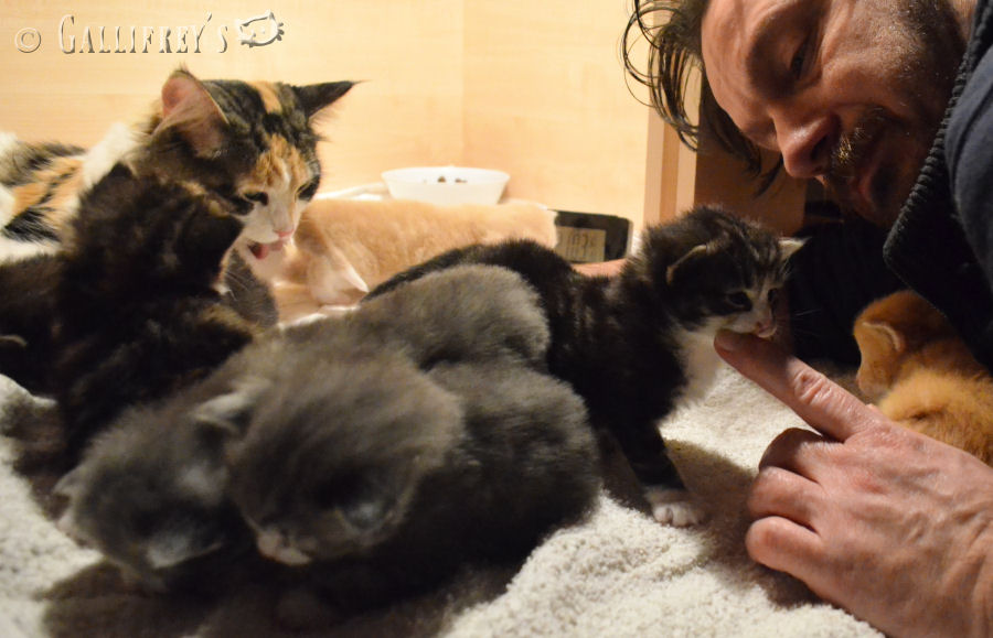 巴塞罗那一海滩附近现炸弹为西班牙内战遗留物:太阳成集团tyc7111cc(图2) 太阳成集团tyc7111cc