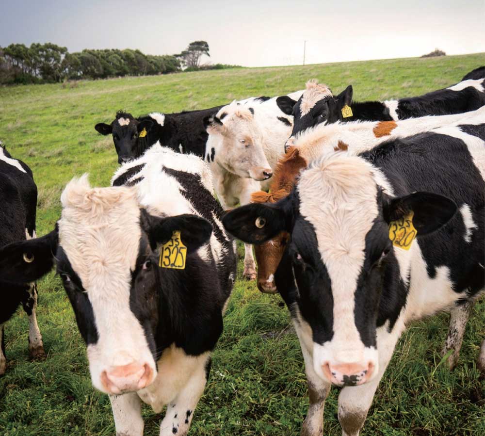 第327章 我送你一首诗“太阳成集团tyc7111cc”(图2) 太阳成集团tyc7111cc