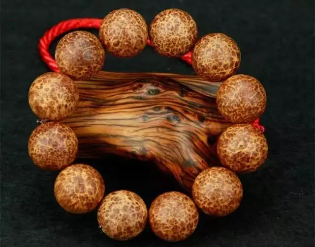 第5113章 飞剑斩蛇:太阳成集团tyc7111cc(图1) 太阳成集团tyc7111cc