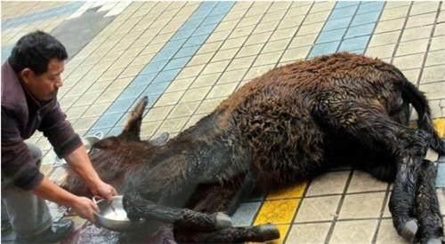 太阳成集团tyc7111cc