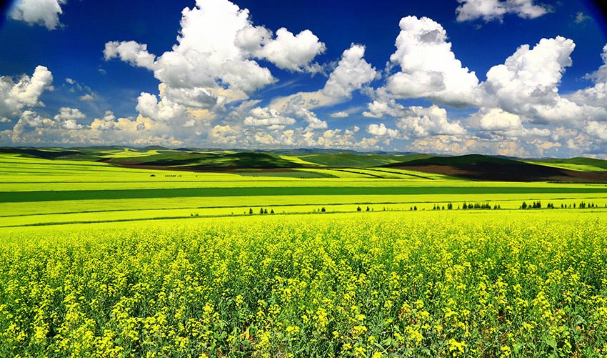 “太阳成集团tyc7111cc”第4038章 荷包蛋战队(图1) 太阳成集团tyc7111cc