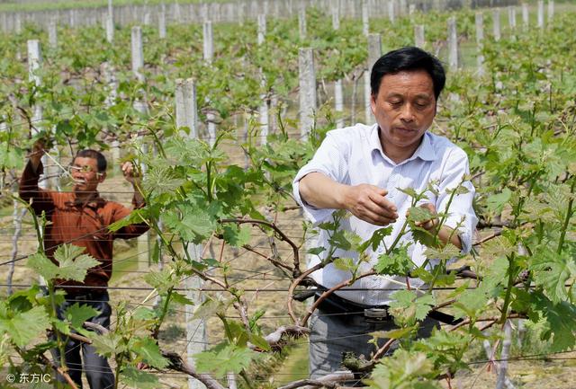 太阳成集团tyc7111cc