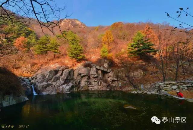 太阳成集团tyc7111cc_上海杨浦消防举办相聚红门情系未来公益活动(图1) 太阳成集团tyc7111cc