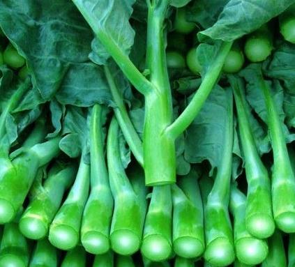 太阳成集团tyc7111cc