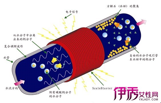 太阳成集团tyc7111cc